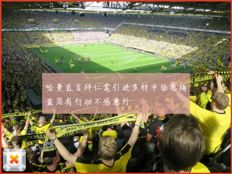 哈曼直言拜仁需引进多特中场恩梅查若有行动不感意外