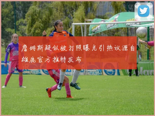詹姆斯疑似被打照曝光引热议源自雄鹿官方推特发布