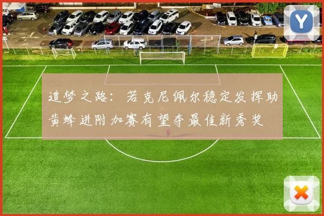 追梦之路：若克尼佩尔稳定发挥助黄蜂进附加赛有望夺最佳新秀奖