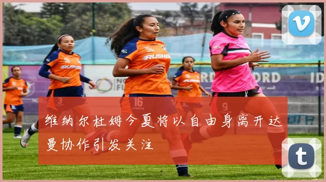 维纳尔杜姆今夏将以自由身离开达曼协作引发关注