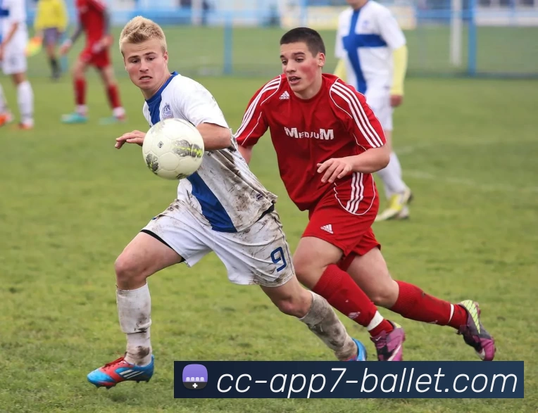 贝博体育发展历程