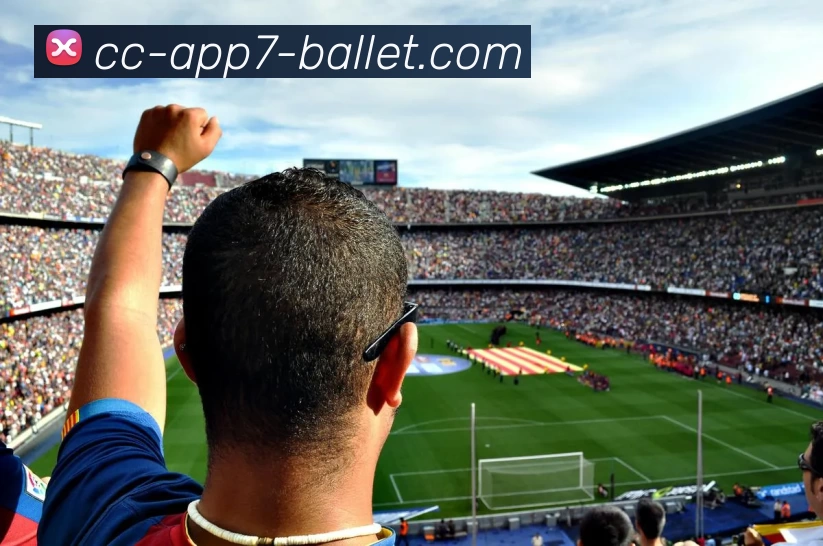 加斯佩里尼谈裁判判罚明确若全员出战或能逆转局势